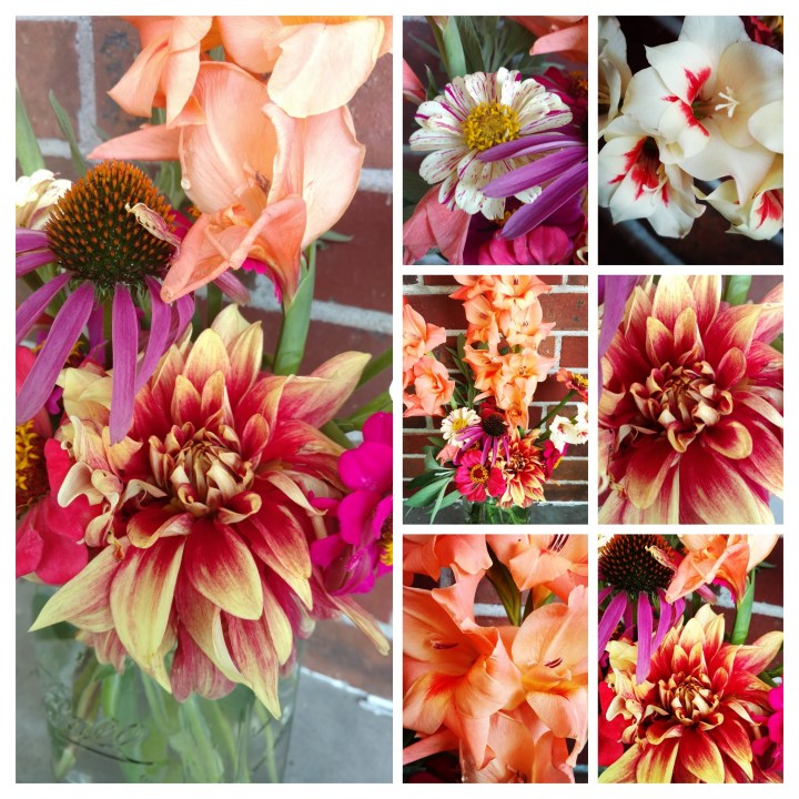 IMG_20170702_114624269-COLLAGE