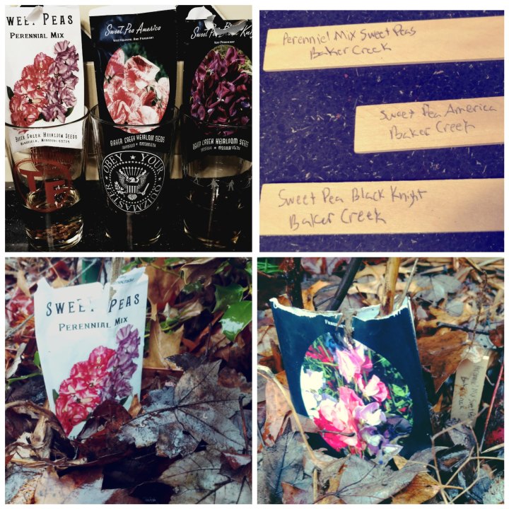 inCollage_20180224_091149342