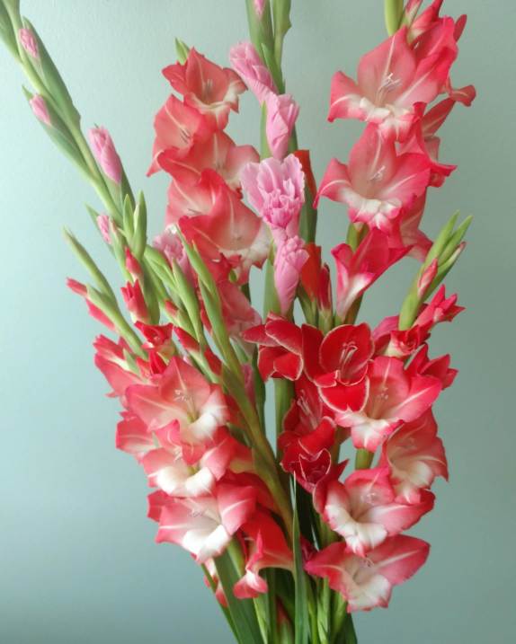 img_20180713_114637_329